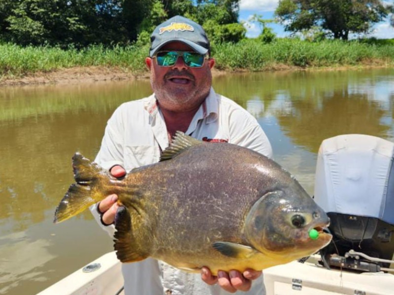 Dorado Fly Pesca & Apart